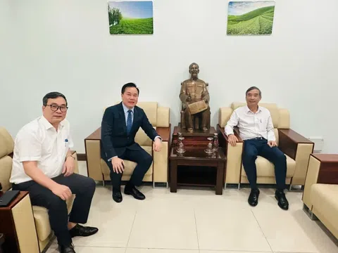 Đà Nẵng xúc tiến thành lập Liên đoàn Lân Sư Rồng: Hướng tới quảng bá văn hóa gắn với du lịch