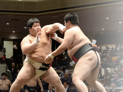 Sumo – Nét đặc trưng của võ thuật Nhật Bản