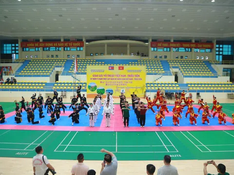 Đại hội trình diễn võ đạo Nhật Bản để lại nhiều dấu ấn với người dân thành phố