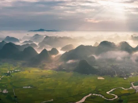 Du khách quốc tế thổ lộ điều này sau khi trải nghiệm 15 năm ăn Tết tại Việt Nam