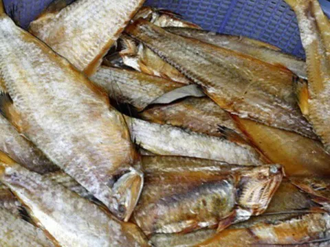 Công ty cai trị vùng đất rộng gần bằng cả Liên minh châu Âu [Sửa]