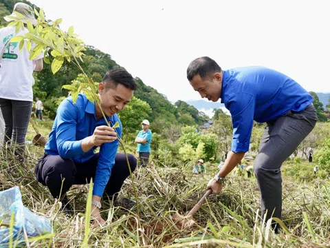 70 ngày và hành trình phủ xanh hơn 27 hecta rừng của Vietnam Airlines