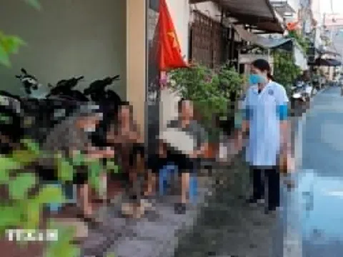 Hà Nội ghi nhận 18 ổ dịch sốt xuất huyết ở 8 quận, huyện trong tuần