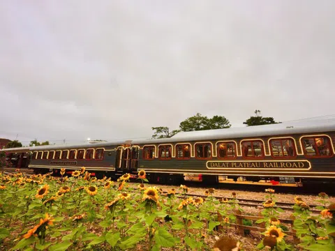 Ra mắt đoàn tàu La Reine tuyến Đà Lạt - Trại Mát lấy cảm hứng từ cung Nam Phương hoàng hậu